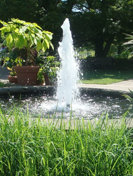 фонтаны летнего сада