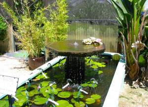 Ландшафтный Дизайн - Фонтаны - ООО Клён