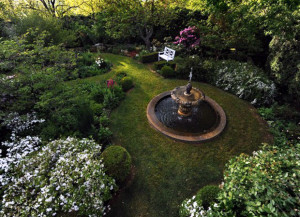 Ландшафтный Дизайн - Фонтаны - ООО Клён